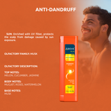 Shampoo Above Men Anti-Dandruff Sun UV Protection & Restore 325ml